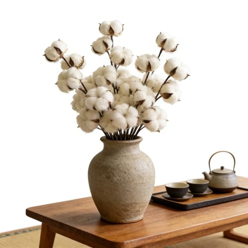 Pack de 10 tallos de flores de algodón natural secas miniatura 3