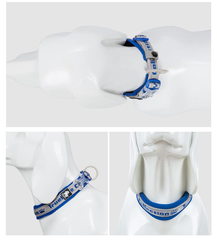 WINHYEPET True Love Reflective Dog Collar - Image 4
