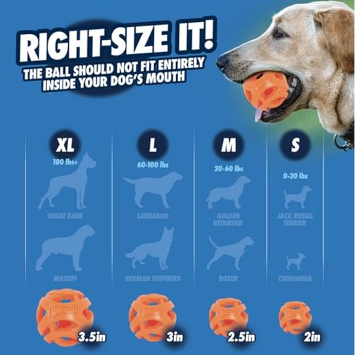 Image of Chuckit! Air Fetch Wheel Dog Toy, Orange