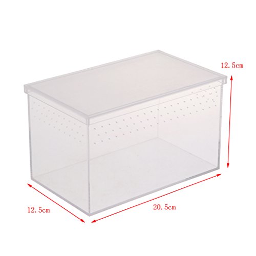 Caixa de acrílico transparente Homyl para transporte de insetos de répteis, caixa de alimentação, re