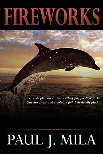 Fireworks Paperback – October 14, 2008