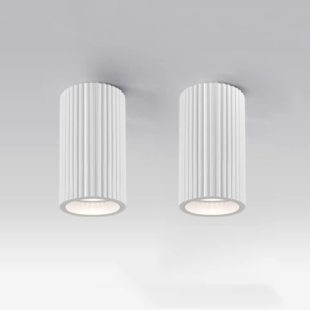 HSTBLEOO 2 Pack Ceiling Spotlight Resin Surface Mounted Downlight Accent Spot Lamp, GU10 Cylinder Ceiling Mount Light Fixtures (Color : White)