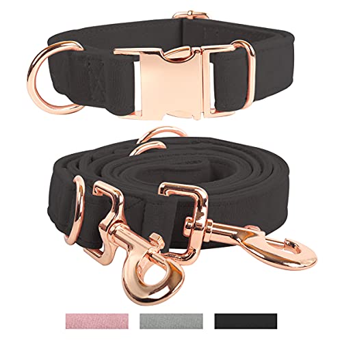 Barkless Hundehalsband und Leine, Set für kleine, mittelgroße und große Hunde, verstellbare Halsbänder und Leine, multifunktional, mit Samtlegierungsstahl, Schnappschnalle S, Schwarz Cover