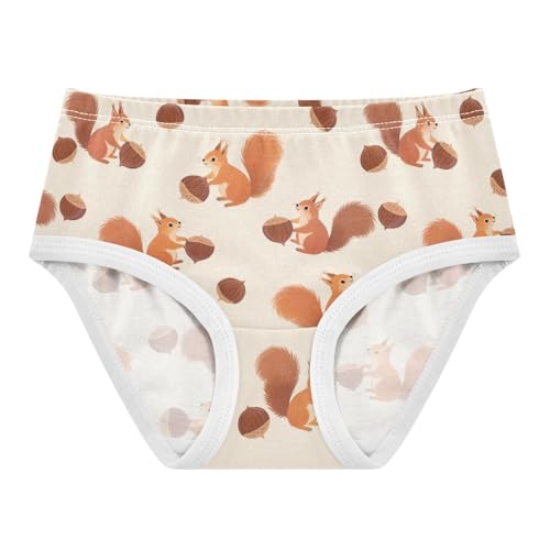 Squirrel Chestnut Toddler Girls's Underwear 2T 2300657