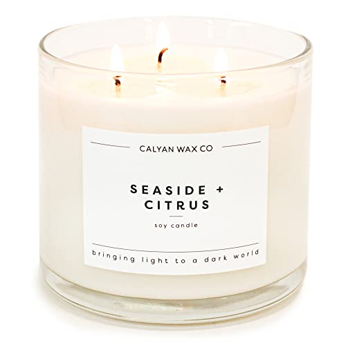 Seaside & Citrus 3 Wick Candle