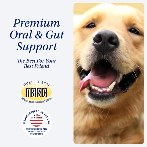 Petlab Co – Dental & Probiotic Bundle: Dog Toothpaste & Dental Sticks For Daily Dental Care: 2.12 Oz Gel & 28 Sticks & Dog Probiotics For Gut Health & Seasonal Allergy Support 30 Count #TOP1