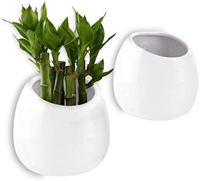 T4U 10CM Wall Mounted Ceramic Plant Pots, Pack of 2 Small Wall Planter for Succulent Flower Hanging Planter White Home and Office Desktop Decoration for Wedding, Birthday, Party, Christmas