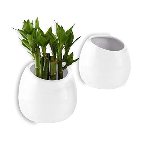 T4U 10CM Wall Mounted Ceramic Plant Pots, Pack of 2 Small Wall Planter for Succulent Flower Hanging Planter White Home and Office Desktop Decoration for Wedding, Birthday, Party, Christmas Cover