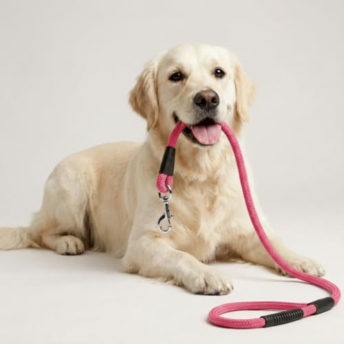 Image of Dog Leash for Large Dogs & Medium Dogs 5 Feet - Heavy Duty Nylon Rope 15mm Thick Leash with Anti Slip Rubber Handle - Tangle Free & Swivel Metal Clip (Pink)