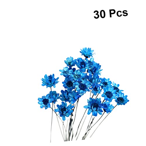 Ramo Seco de Margarita 30pcs para Decoración miniatura 4