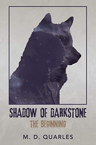 Shadow of Darkstone: The Beginning -  Quarles, M. D., Paperback