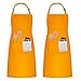 2 Piezas Delantales de Cocina para Mujer Hombre, Impermeable Ajustable Delantal con 2 Bolsillos, Unisexo Adultos Delantales de Cocinero para Chef Jardinería Cafetería BBQ Pintar Hornear