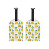 XOLLAR Pack of 2 Luggage Tags Cute Pineapple Name ID Identifier Labels for Suitcase Travel Bag...