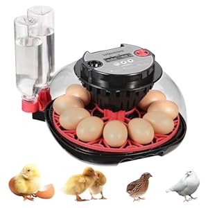 12 Egg Incubator with Automatic Turning, Humidity Control, LED Egg Candler, and Auto Water Addition, for Hatching Chicken, Goose, Duck, Quail, Pigeon (12 Egg Incubator Pro)