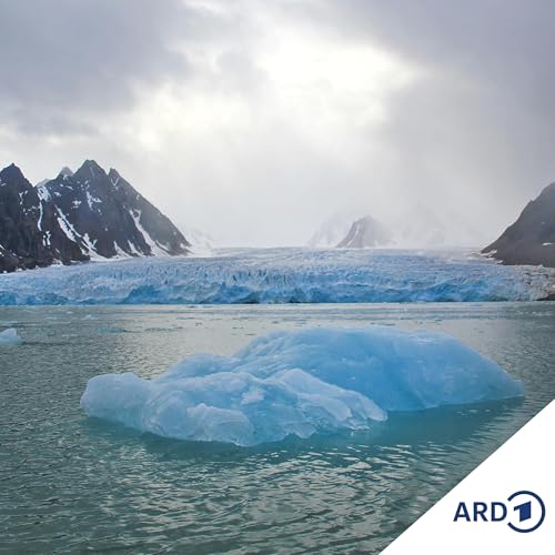 Spitzbergen - Leben am Limit der Arktis