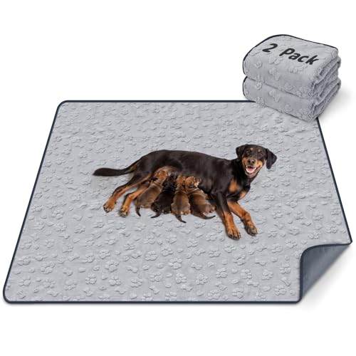 Image of LOOBANI 2 Pack Extra Large Washable Pee Pads for Dogs 54 inchx54 inch, Gray