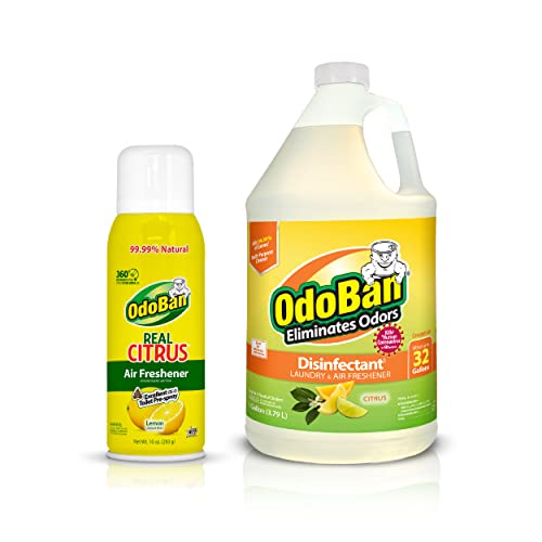 Odoban Aroma Eliminator Set, 10 Ounce 360-Degree Continuous Spray Natural Oil Real Citrus Air Freshener And 1 Gallon Multipurpose Disinfectant Cleaning Concentrate, Lemon Scent #TOP19