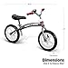 Radio Flyer Balance Bike Glide and Go, Gray Toddler Bike, Ages 2.5-5 Years