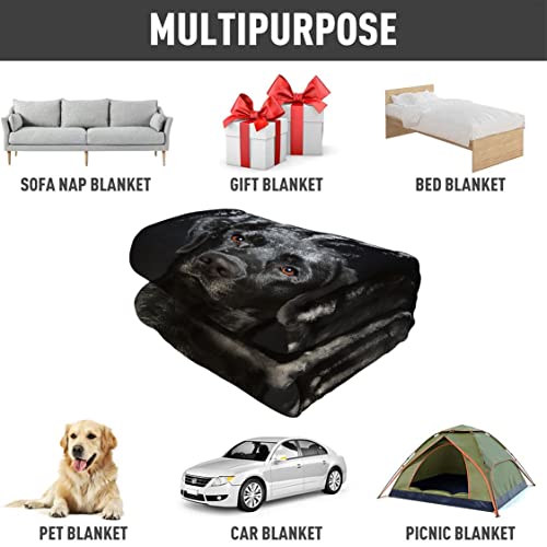Hommomh Black Lab Blanket, Gorgeous Labrador Dog Print, Soft Fluffy Fleece Throw 60"X80" #TOP5
