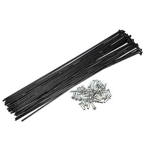 Rayons de vélo 14G 226mm x 2mm acier noir avec écrous de rayon pour roue VTT et VTC