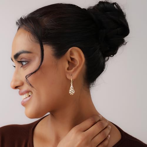 Image of TRUESILVER ACPL 925 Sterling Silver Drop Earrings for Women & Girls | BIS Hallmarked Elegant Dangle Earrings | Stylish Leverback Everyday & Gift Jewelry
