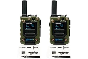 Global-ptt Long Range 4G POC Intercom POC Radio Walkie Talkie (2-Pack)