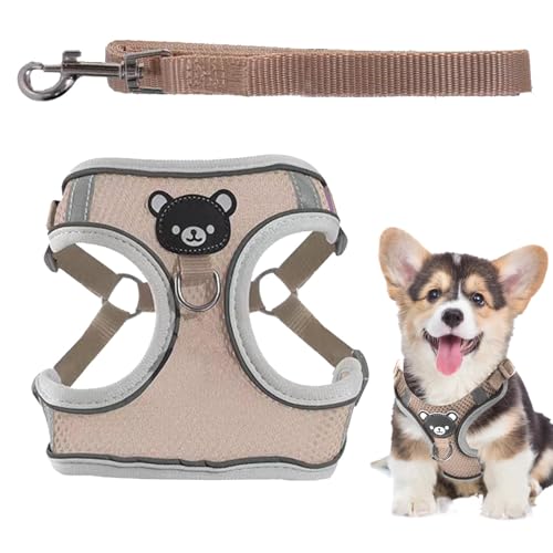 Pettorina per cani che si illumina al buio, set di corda e imbracatura per cuccioli, regolabile, morbida pettorina per cani di taglia media