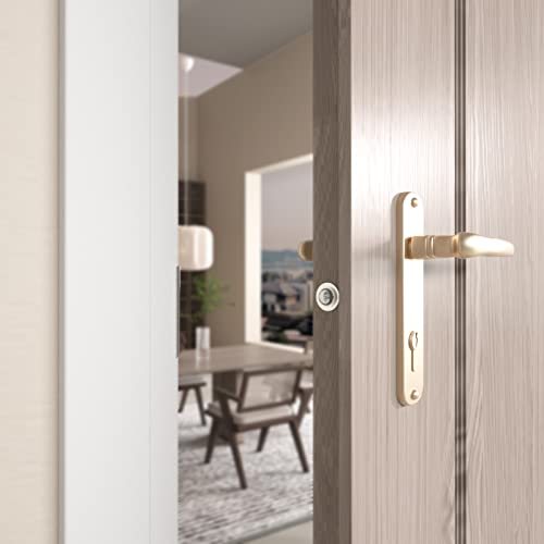Dondelight Door Ball Catch, Drive In Ball Catches For Interior Doors, 13/16 Inch X 1 Inch, Closet Door Ball Catch Hardware, Door Tension Adjustable (4 Pack, Self-Embed Silver) #TOP2