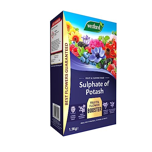 1.5kg Sulphate of Potash Fertiliser Ready-to-Use for Fruits Vegetables and Vibrant Plant Growth