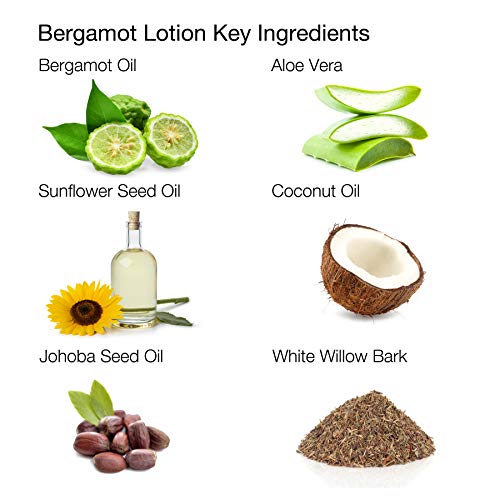 Aloa Skincare Bergamot Lotion Antioxidant Face Moisturizer thumb #3