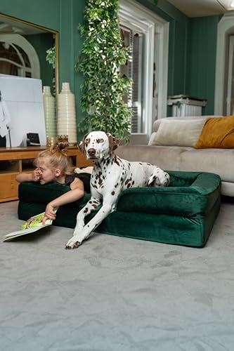 Image of NOAH & PAW XL Dog Bed, 45x35x11 Inch, Orthopedic Large Dog Beds, Eggshell Memory Foam Infused with Cooling Gel, Inner Cover, Water Resistant, Machine Washable (Velvet Sofa Collection)