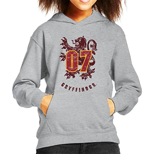 Harry Potter Quidditch sweat Gryffindor 07 le cadeau parfait pour anniversaire enfant