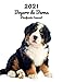 2021 Boyero de Berna Planificador Semanal: 123 Páginas | Tamaño A4 | Calendario | 14 Meses | 1 Semana en 2 Páginas | Agenda Semana Vista | En español | Perro
