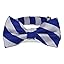 Royal Blue and Silver