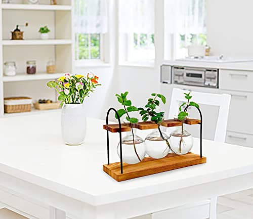 Ahhute Plant Propagation Stations Terrarium With Wooden Stand-Desktop Glass Bulb Plant Vase Metal Swivel Holder-Air Planter For Women Gift-3 Bulb Vase #TOP4