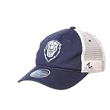 Columbia Lions NCAA Officially Licensed Adjustable Hat University