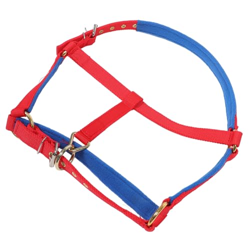 Licol de cheval pratique pour la vie au grand air et au paddock