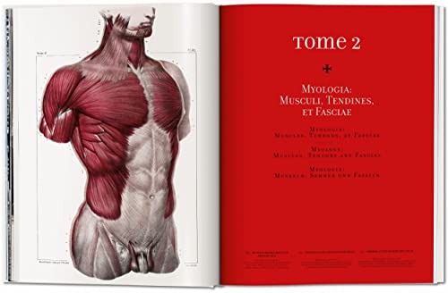 Image of Bourgery. Atlas of Human Anatomy and Surgery: The World as a Stage