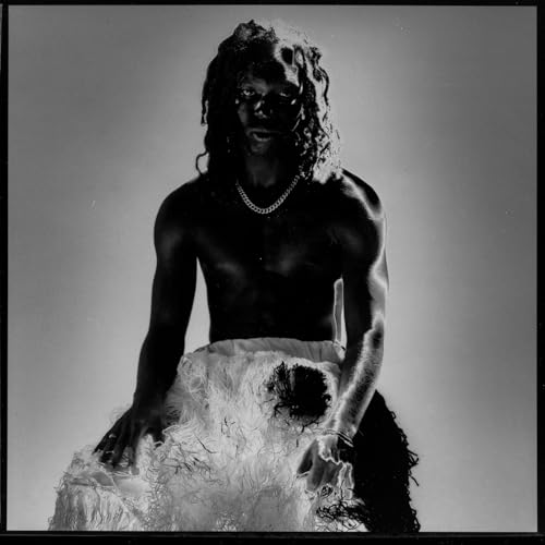 Pochette de Shadowbox