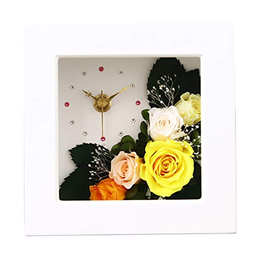 vU[uht[ v Ԏv v[g  |v  ؐ 킢 k Jt Ǌ| uv uv j   Mtg AWg sN a zCg/CG[