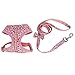 Inzopo GÃ©nÃ©rique Soft Harness and Lead with Flower Design for Small Dog Puppy Pink L