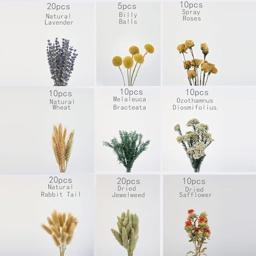 Ramos de flores secas Phragmites para decoración miniatura 6