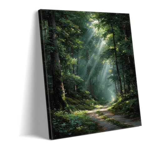 Art mural forêt toile de maître 50x70cm encadré peinture de sentier mystique de prestige