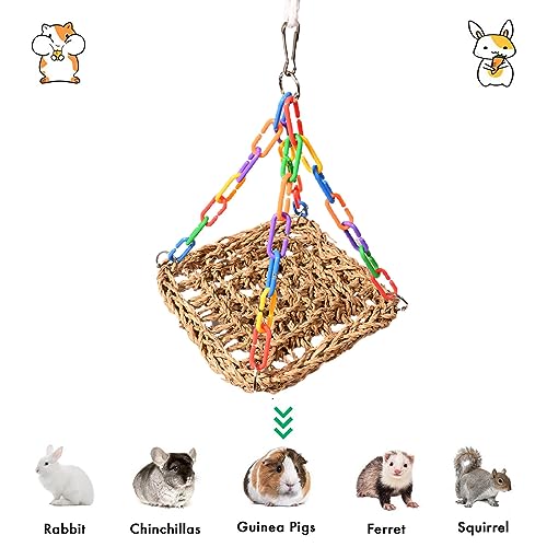 Image of Bearded Dragon Reptile Swing Hanging Bed Hammock Cute Lizard Swing Toy Cotton Lizard Bed Tank Accessories Decorate