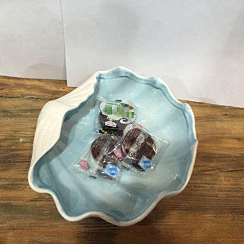 Homoyoyo Scallop Shells Shell Bowls Decorative Serving Bowl Scallop Shaped Jewelry Tray Candy Bowl Plate Dish Photography Props For Wedding Valentine S Day Party Blue Shell Bowl #TOP1