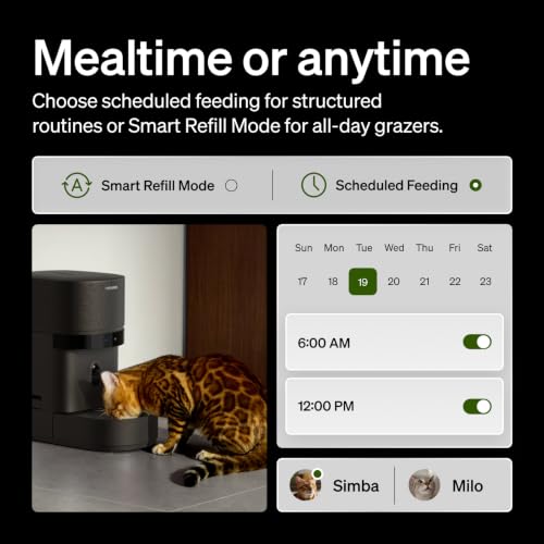 PETLIBRO Automatic Cat Feeder with Camera, Scale AI Smart Food Intake Track - Image 4