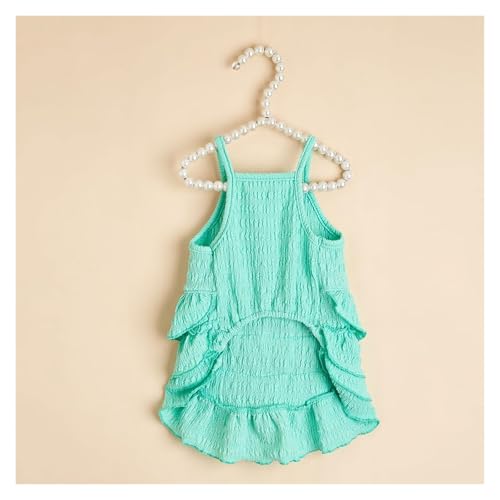 Robe de princesse pour chien et chat pour les fêtes de famille
