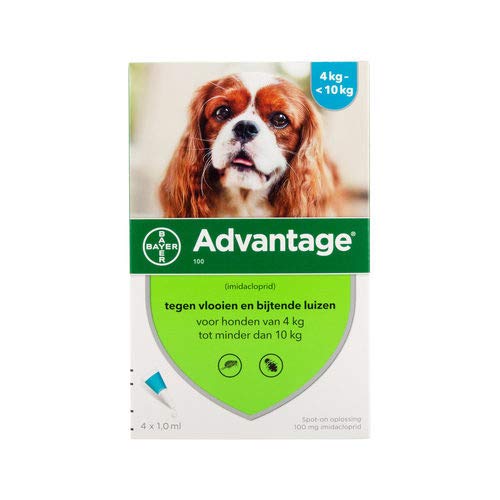 advantage 250 for dogs