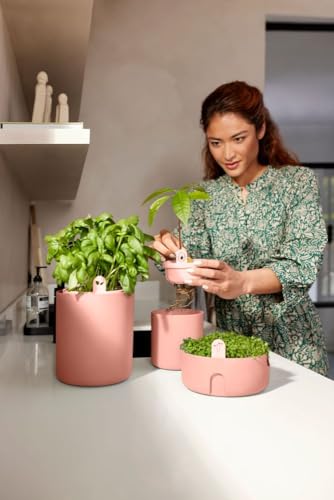 elho Amazing Avocado Pot 12 - Blumentopf für Züchten Und Ernten - 100% recyceltes Plastik - Ø 12.0 x H 12.1 cm - Braun/Toffee Terra