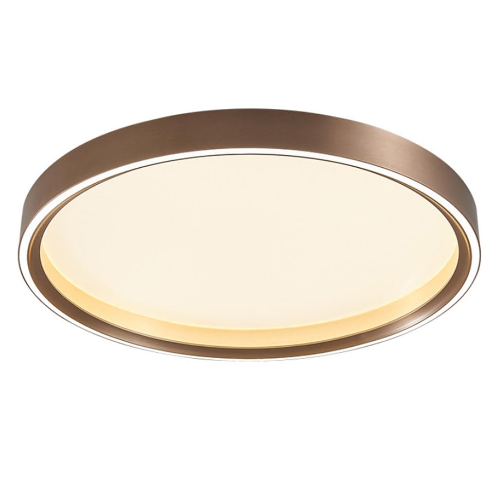 LYMSXAZOU Modern LED Circle Lighting Minimalist Ceiling Light, Dome Flush Mount Light Fixtures, 3000K Dimmable, with Acrylic Lampshade for Bedroom Laundry Room Hallway (19.7")